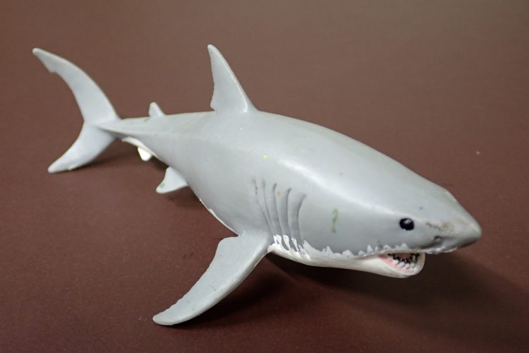 Der Haifisch als Symbol - Umgang mit Aggressionen